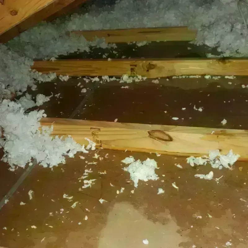 Attic Water Damage in Keosauqua, IA